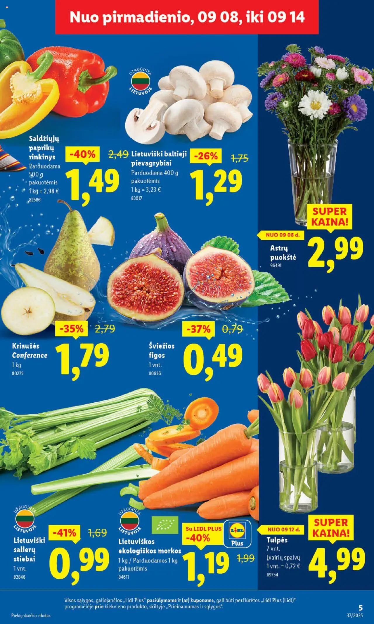 LIDL akcijos nuo 08.09.2025 | Puslapis: 5 | Prekių: Pievagrybiai, Morkos