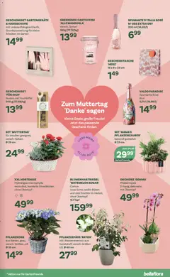 bellaflora Flugblatt ab 23.04.2026 gültig | Seite: 11