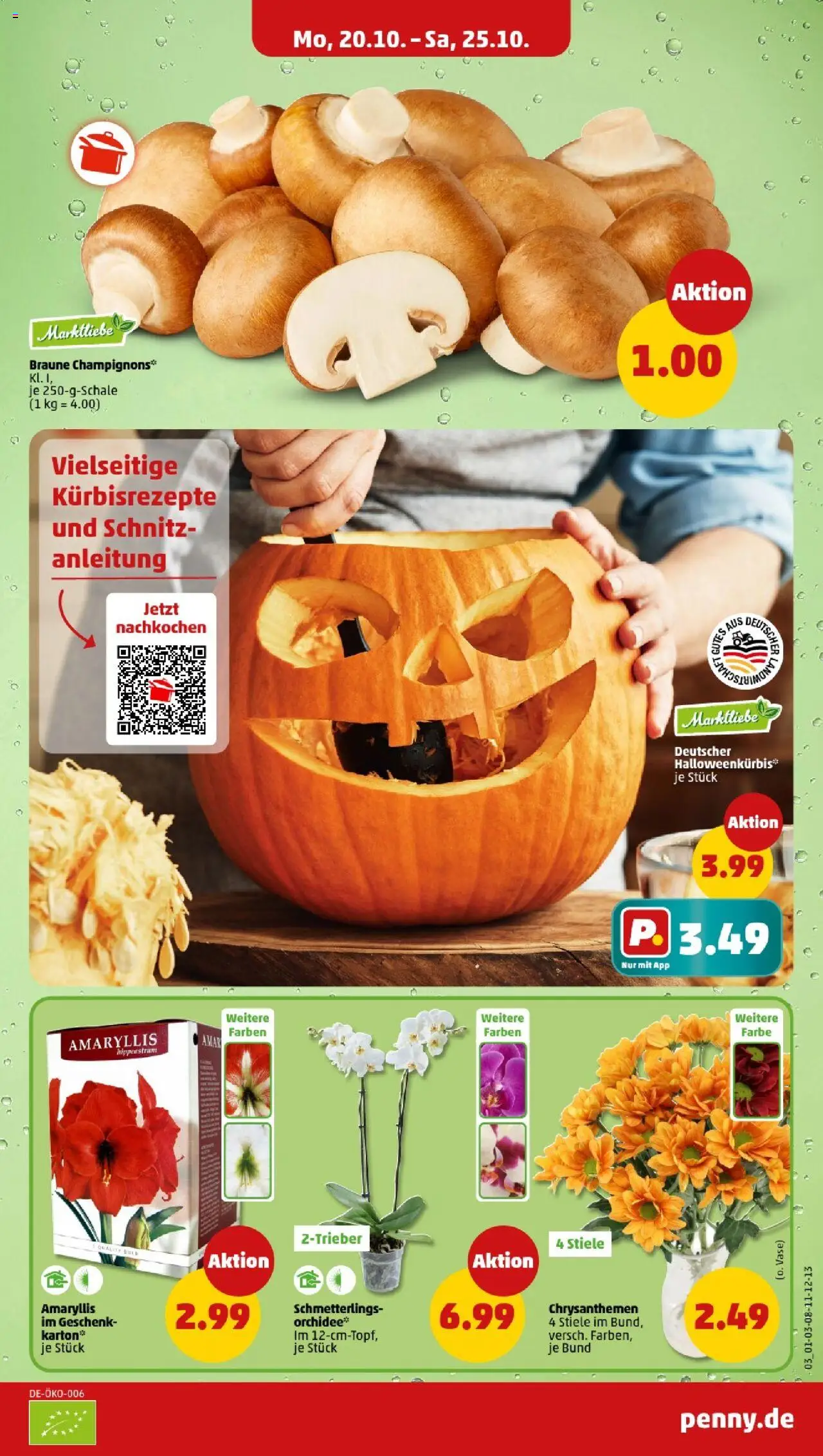 Penny - Berlin – gültig ab 20.10.2025 | Seite: 3 | Produkte: Orchidee, Vase, Champignons