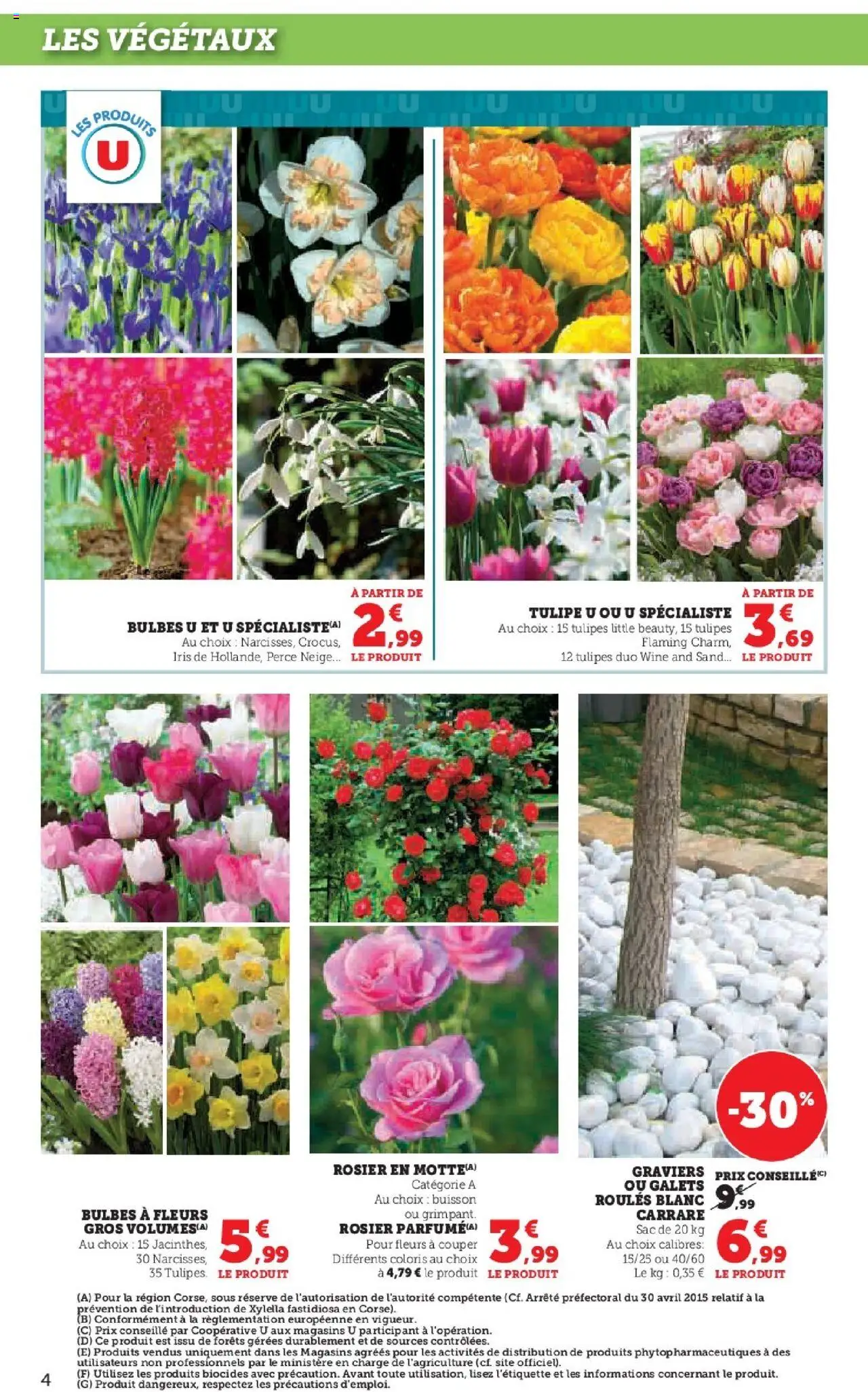  | Page: 4 | Produits: Rosier, Sac, Tulipes