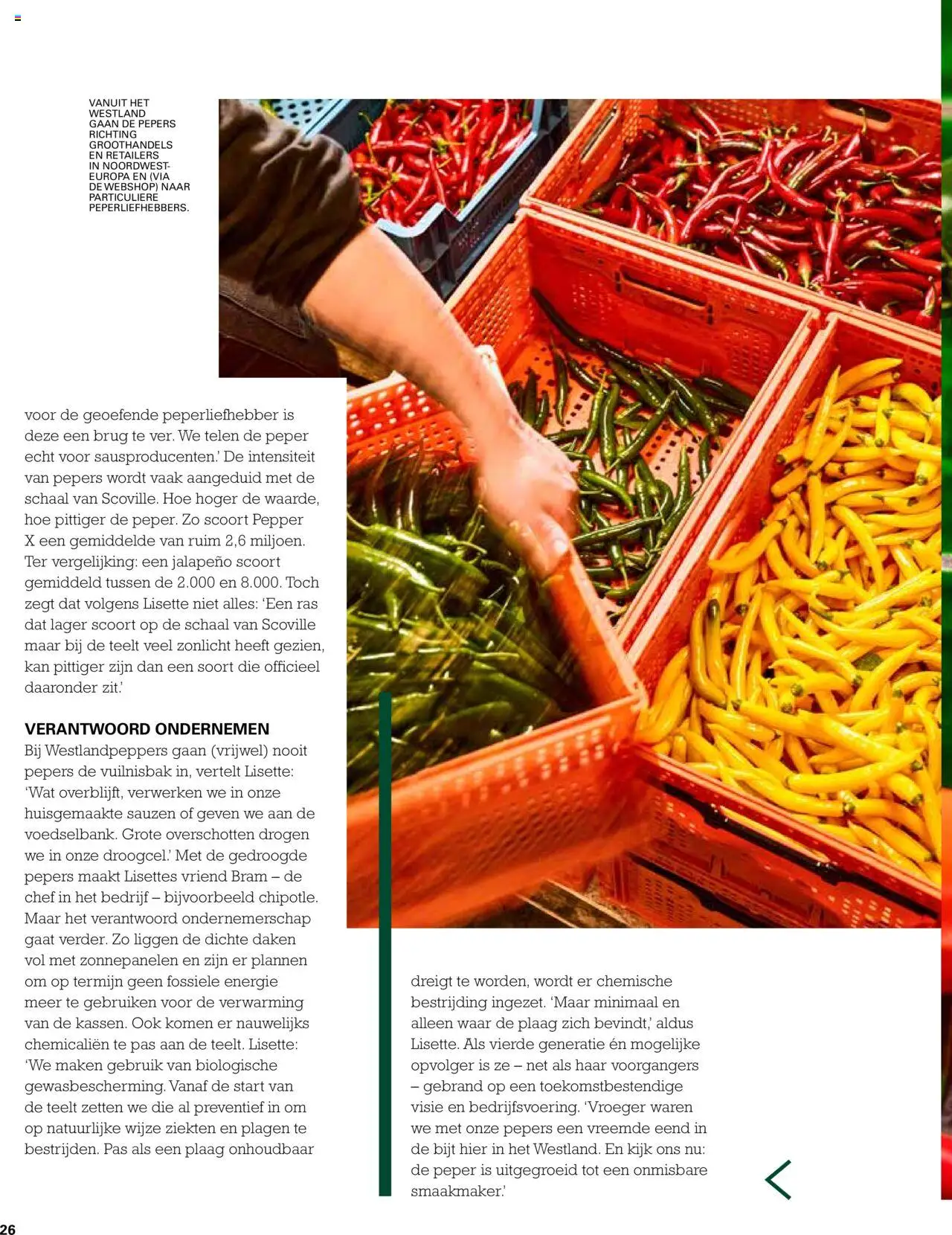  | Pagina: 26 | Producten: Jalapeno, Peper, Pepers, Schaal