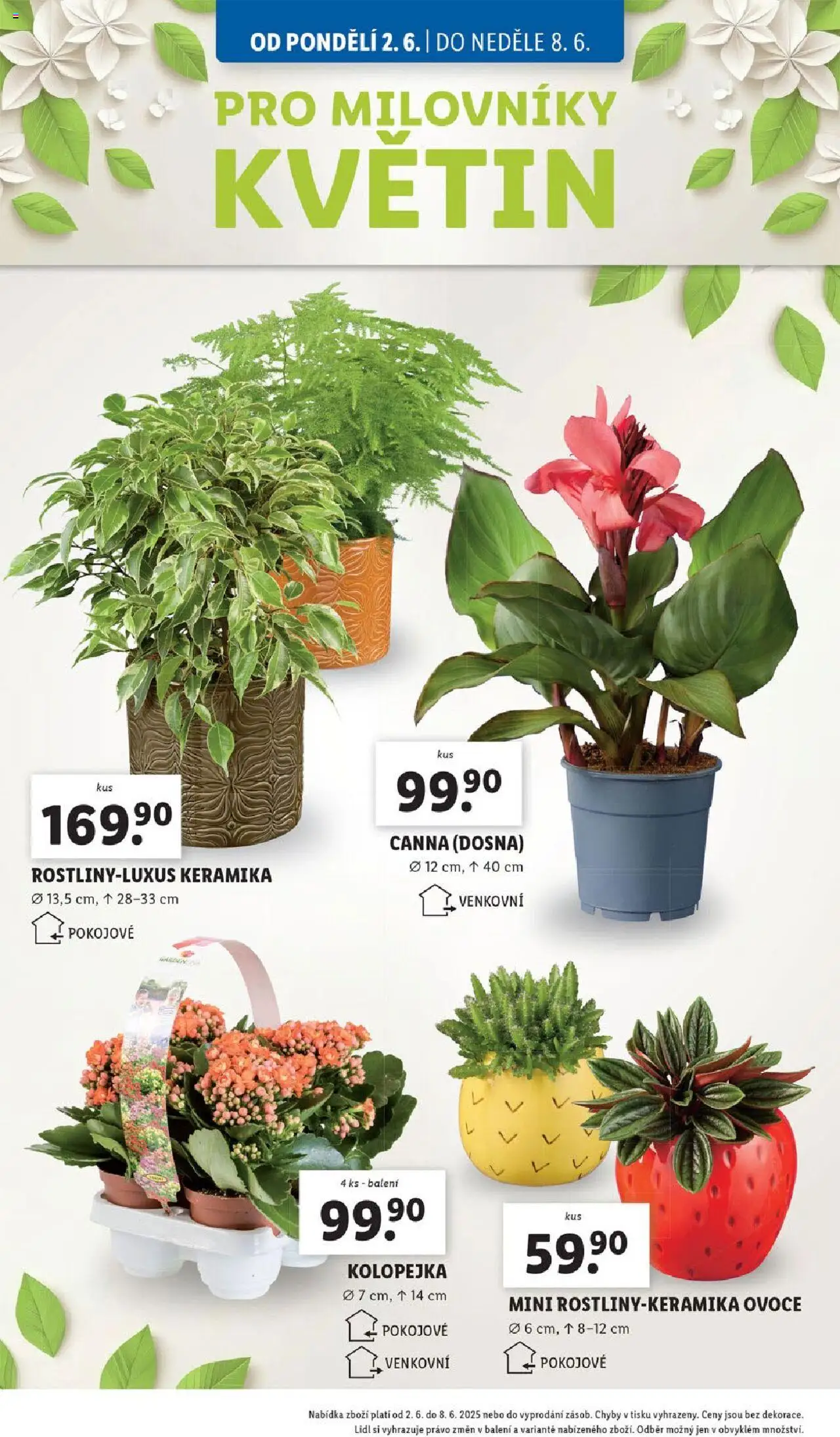 Lidl leták od 02.06.2025 | Strana: 34 | Produkty: Ovoce