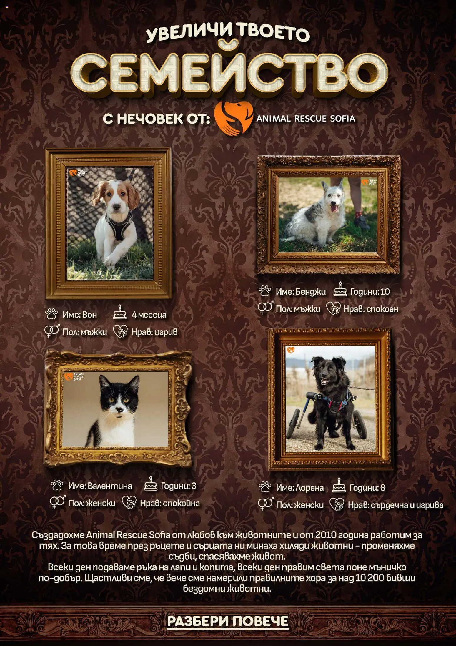 {H1} | Страница: 20