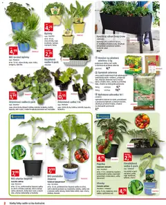 Bauhaus leták platný od 07.04.2026 | Strana: 2