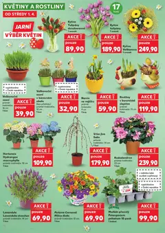 Náhled letáku Kytice Tulipány dvoubarevné, 1 svazek od 01.04.2026 | Strana: 18 | Produkty: Květináče, Tulipány, Kytice, Květiny