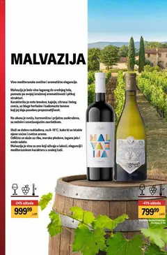 Maxi katalog Dobro vino za dobre priče - pregled Maxi kataloga - važi od 02.04.2026 | Strana: 24 | Proizvode: Belo vino, Vino