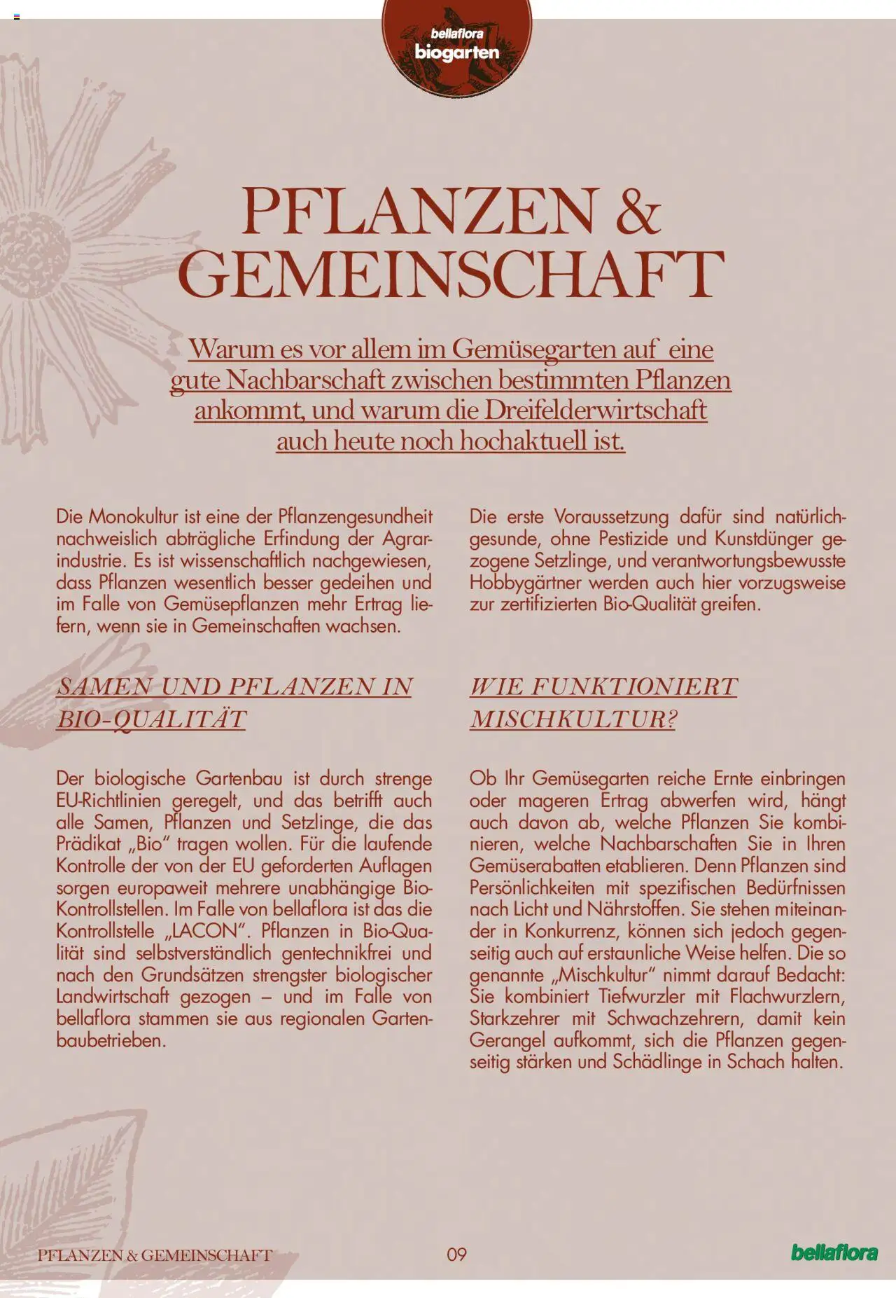 bellaflora Flugblatt gültig ab 24.06.2022 | Seite: 9