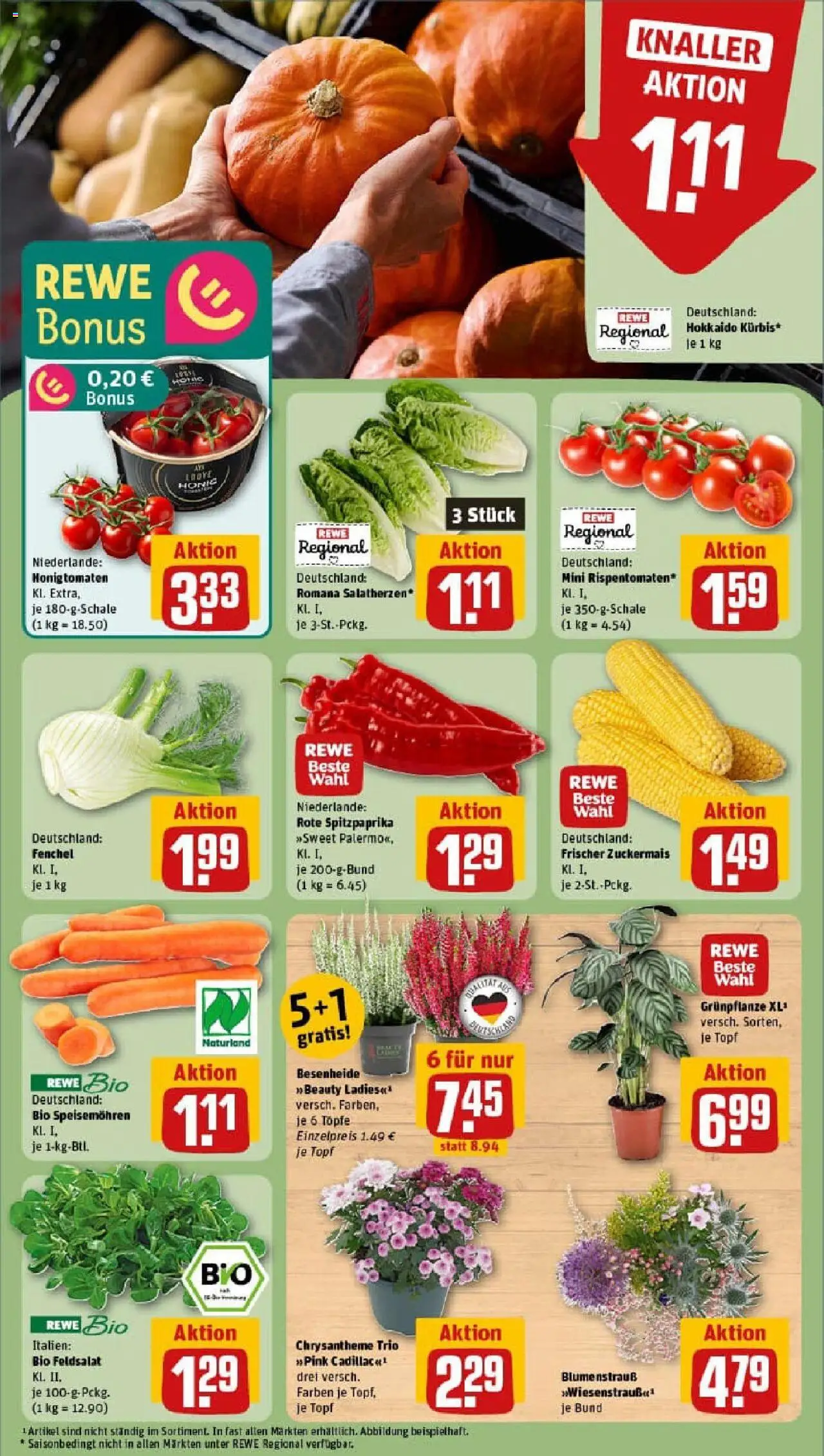 Rewe prospekt Dresden	 – gültig ab 07.09.2025 | Seite: 7