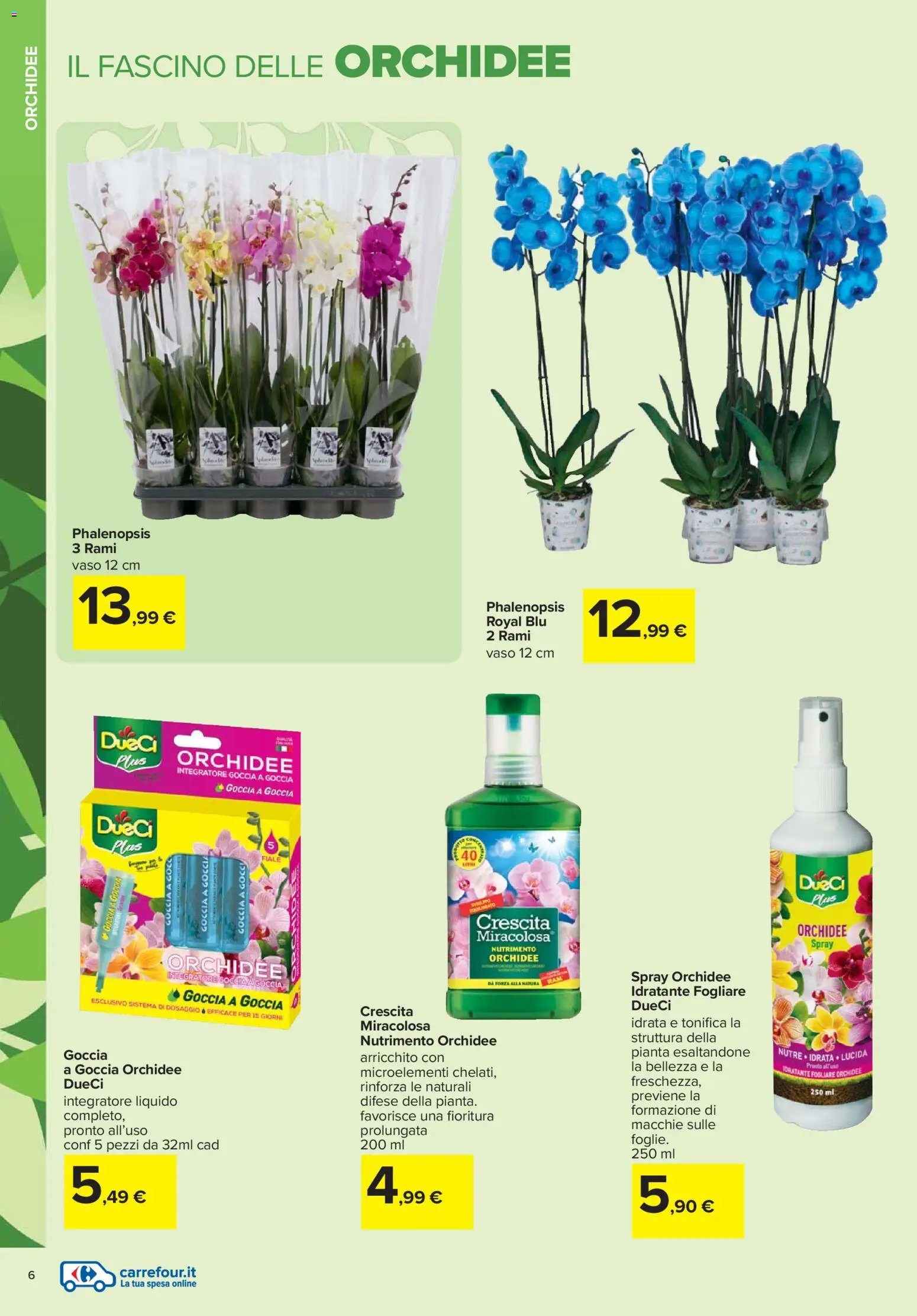 Volantino Carrefour del 19.02.2026 | Pagina: 6 | Prodotti: Vaso