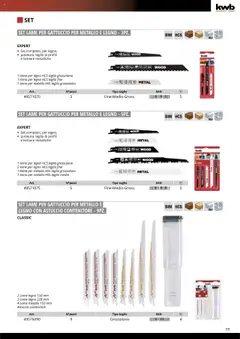 Anteprima del volantino Einhell Elettroutensili catalogo valido a partire dal 10.10.2025 | Pagina: 101 | Prodotti: Astuccio, Contenitore