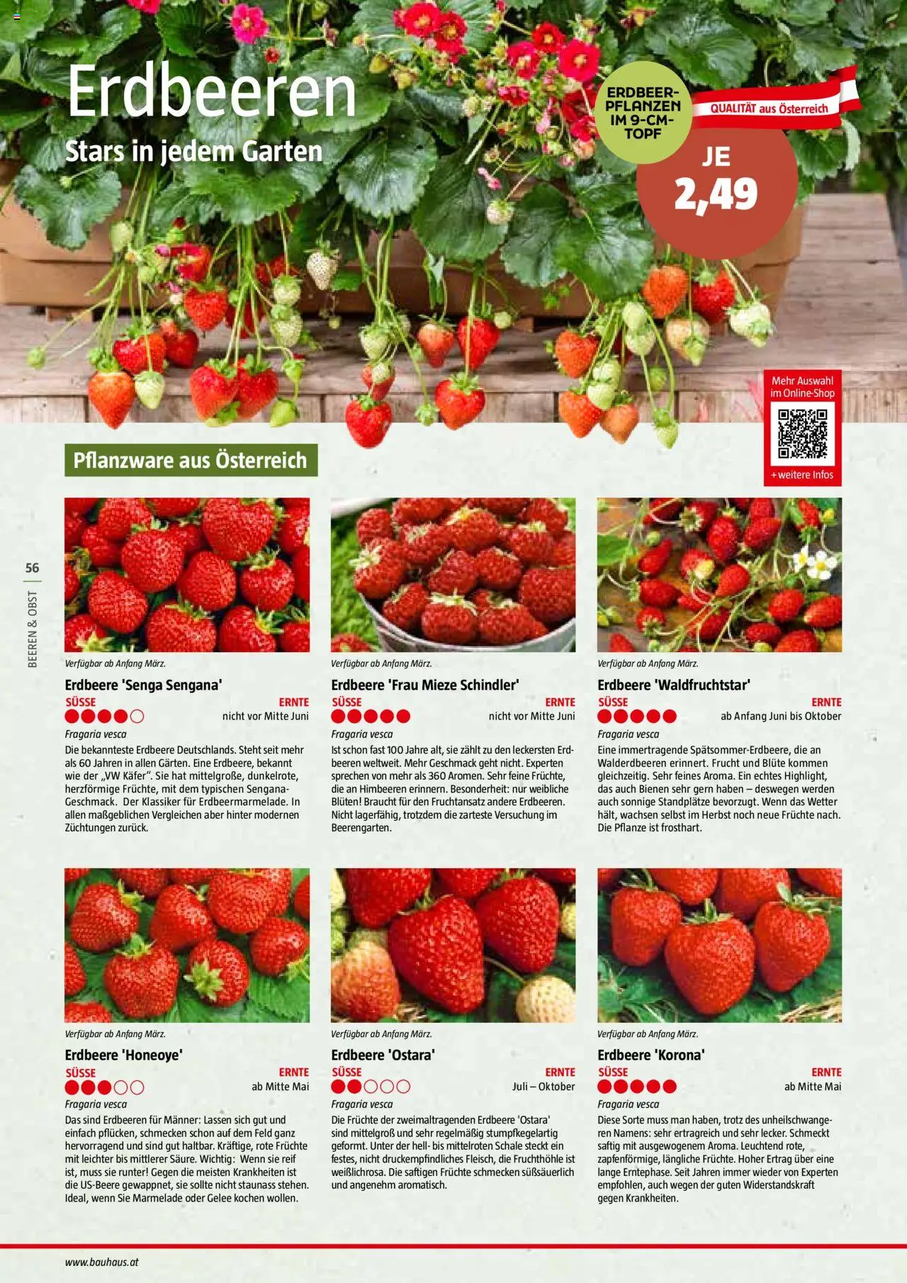 Bauhaus Reiche Ernte Magazin 2025 gültig ab 01.07.2025 | Seite: 56 | Produkte: Erdbeeren, Obst