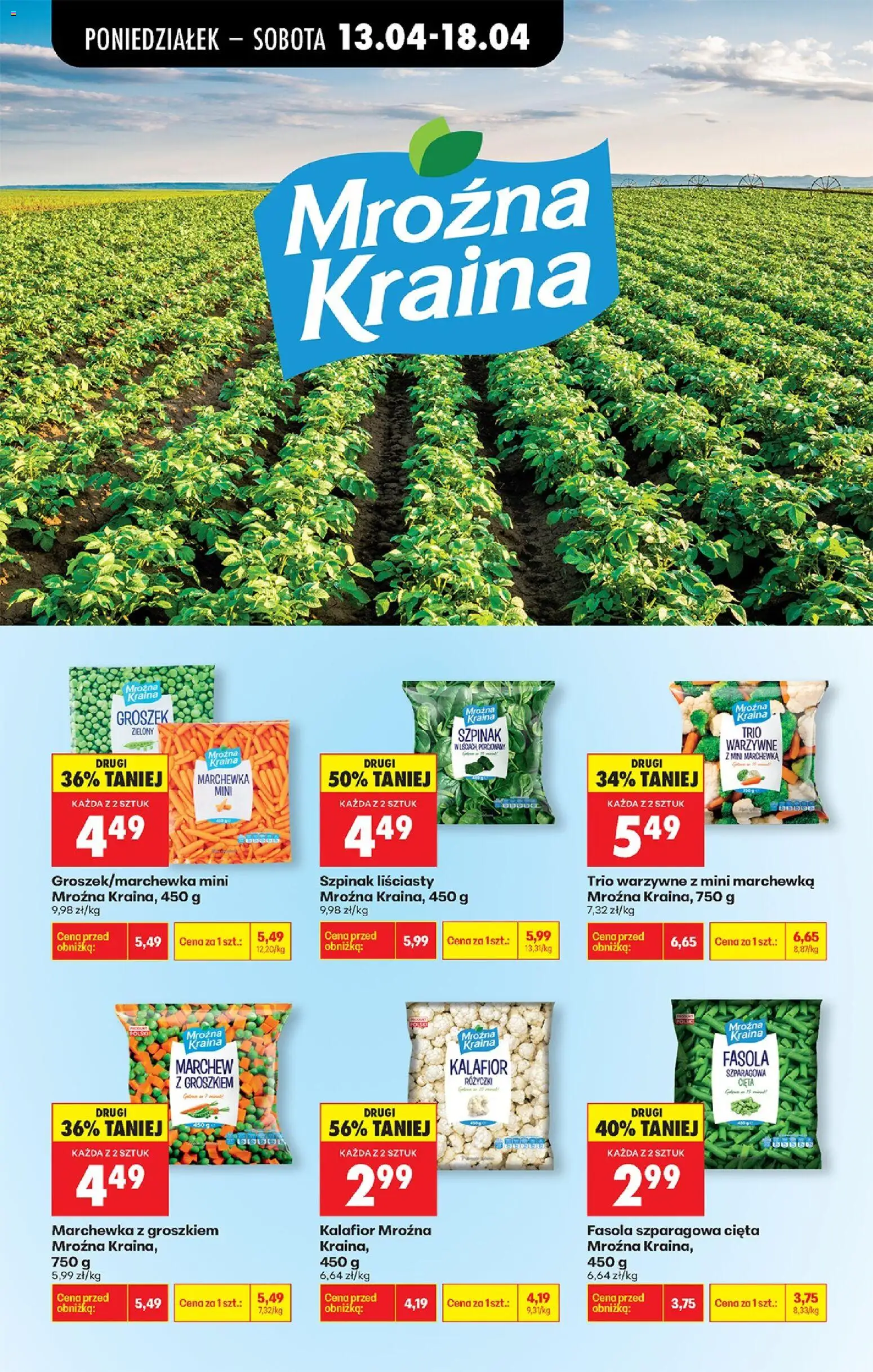 Biedronka gazetka od poniedziałku od 13.04.2026 | Strona: 43