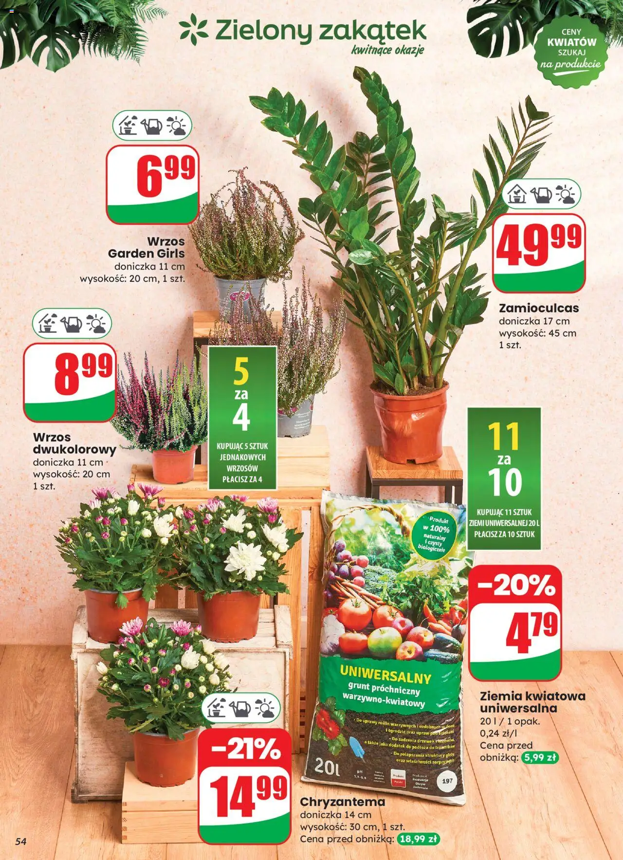 Dino Gazetka od 27.08.2025 | Strona: 54 | Produkty: Wrzos, Ziemia, Doniczka, Zamioculcas