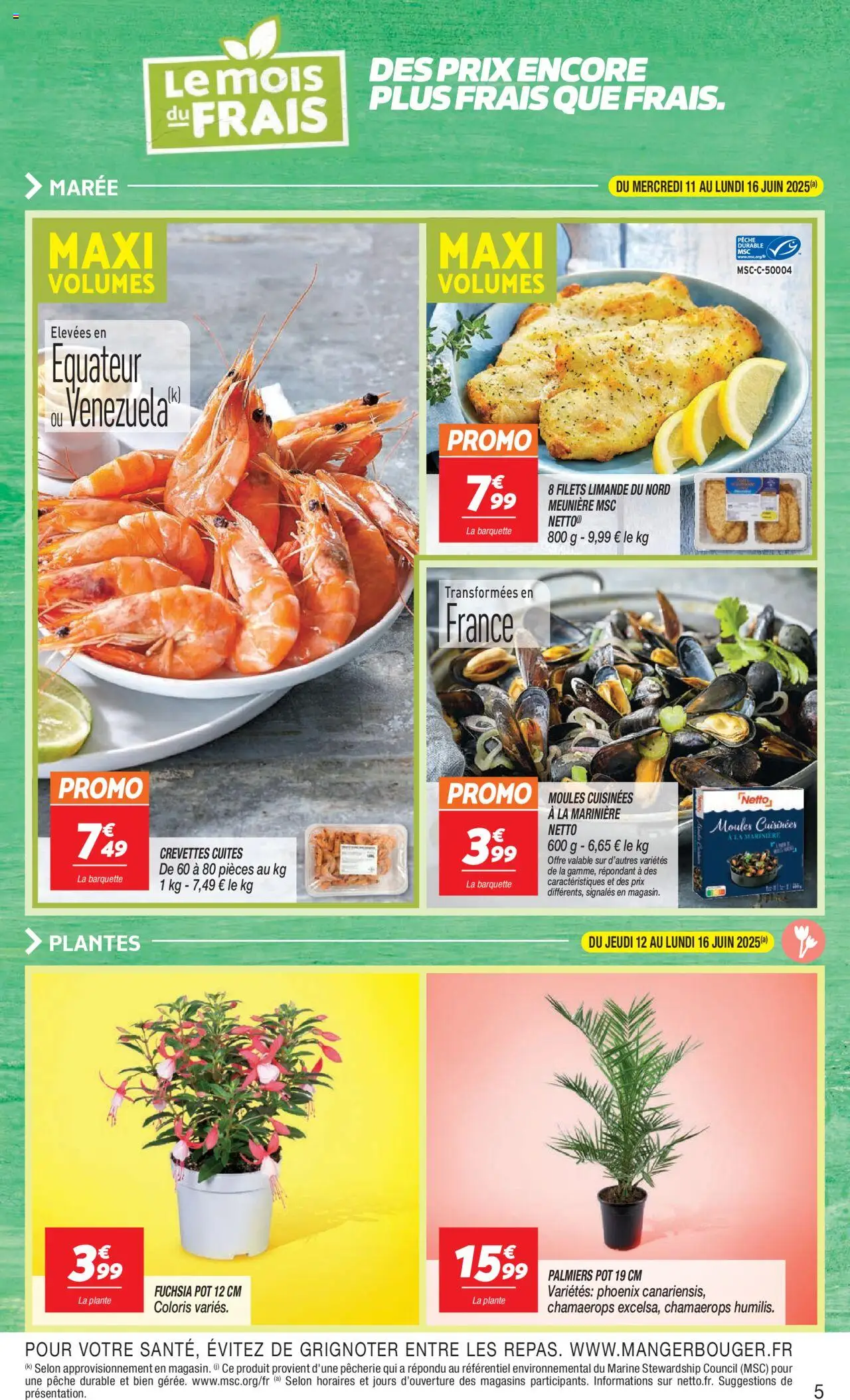  | Page: 5 | Produits: Marinière, Pêche, Plantes, Crevettes