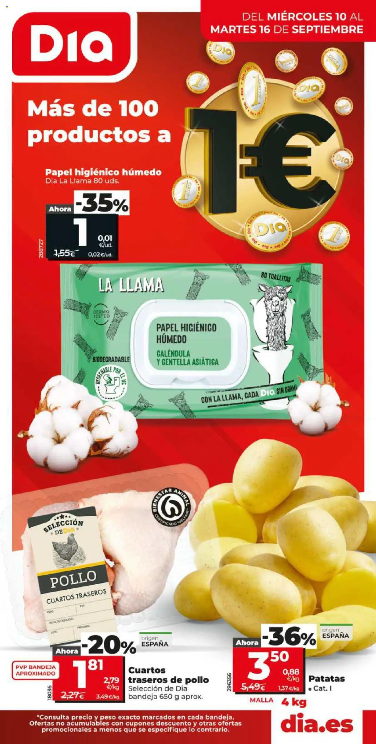 Dia - folleto Market │ válido desde el 10.09.2025 | Página: 1 | Productos: Papel higienico, Peso, Bandeja