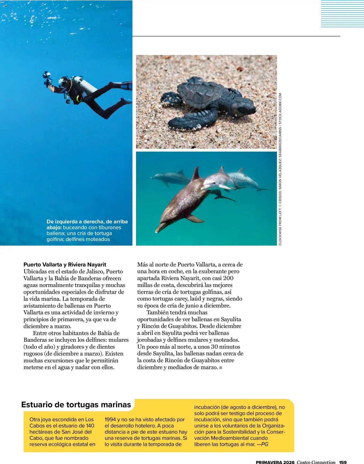 Costco catálogo │ válido desde el 19.03.2026 | Página: 159