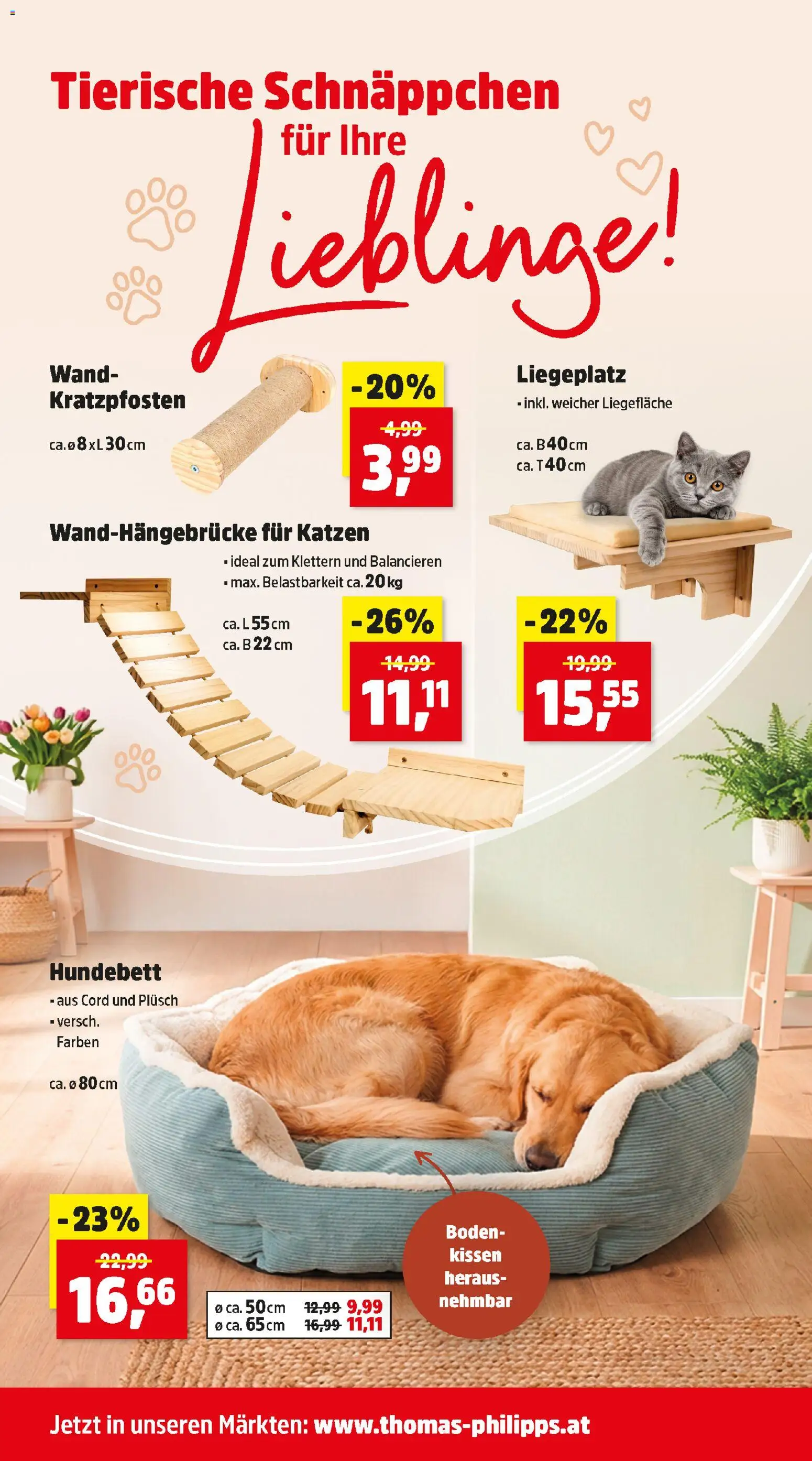 Thomas Philipps Flugblatt gültig ab 09.03.2026 | Seite: 13 | Produkte: Kissen