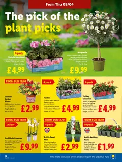 Preview of Lidl - Lidl Weekly valid from 09.04.2026 | Page: 20 | Products: Pot, Kumina