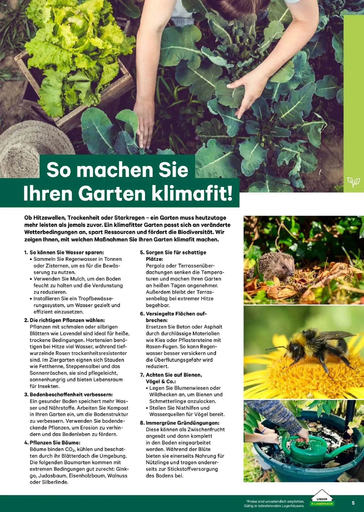 Lagerhaus Garten & Freizeit Katalog 2026 - Wien, Innsbruck gültig ab 01.03.2026 | Seite: 5 | Produkte: Wasser