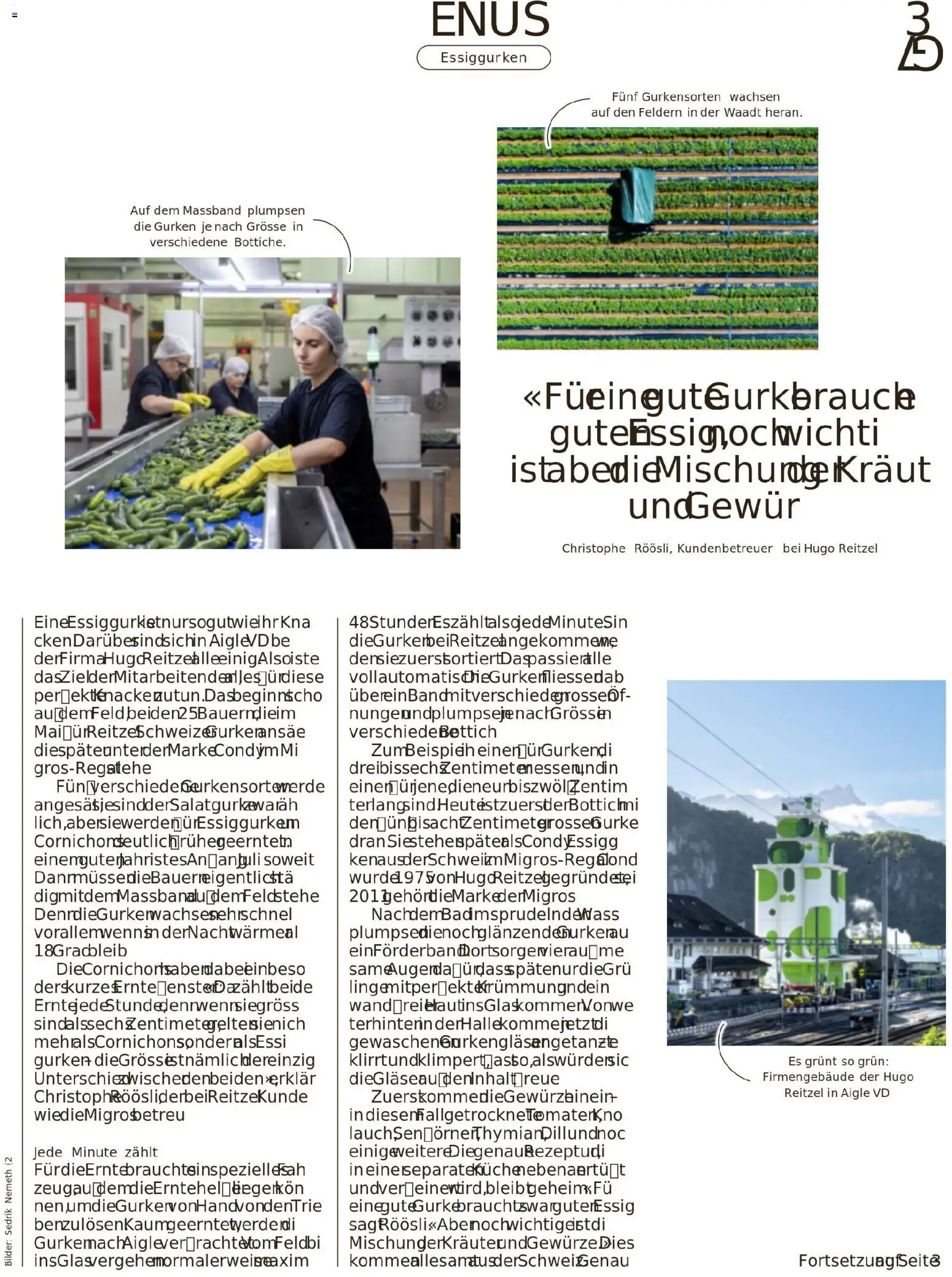 Migros Migros-Magazin-44-2025-d-AA – gültig ab 27.10.2025 | Seite: 37 | Produkte: Kraut, Gurken, Bilder