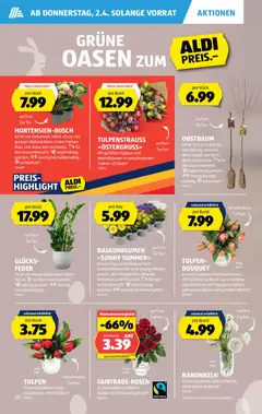 Aldi aktionen ab 02.04.2026 gültig | Seite: 21 | Produkte: Vase, Birne