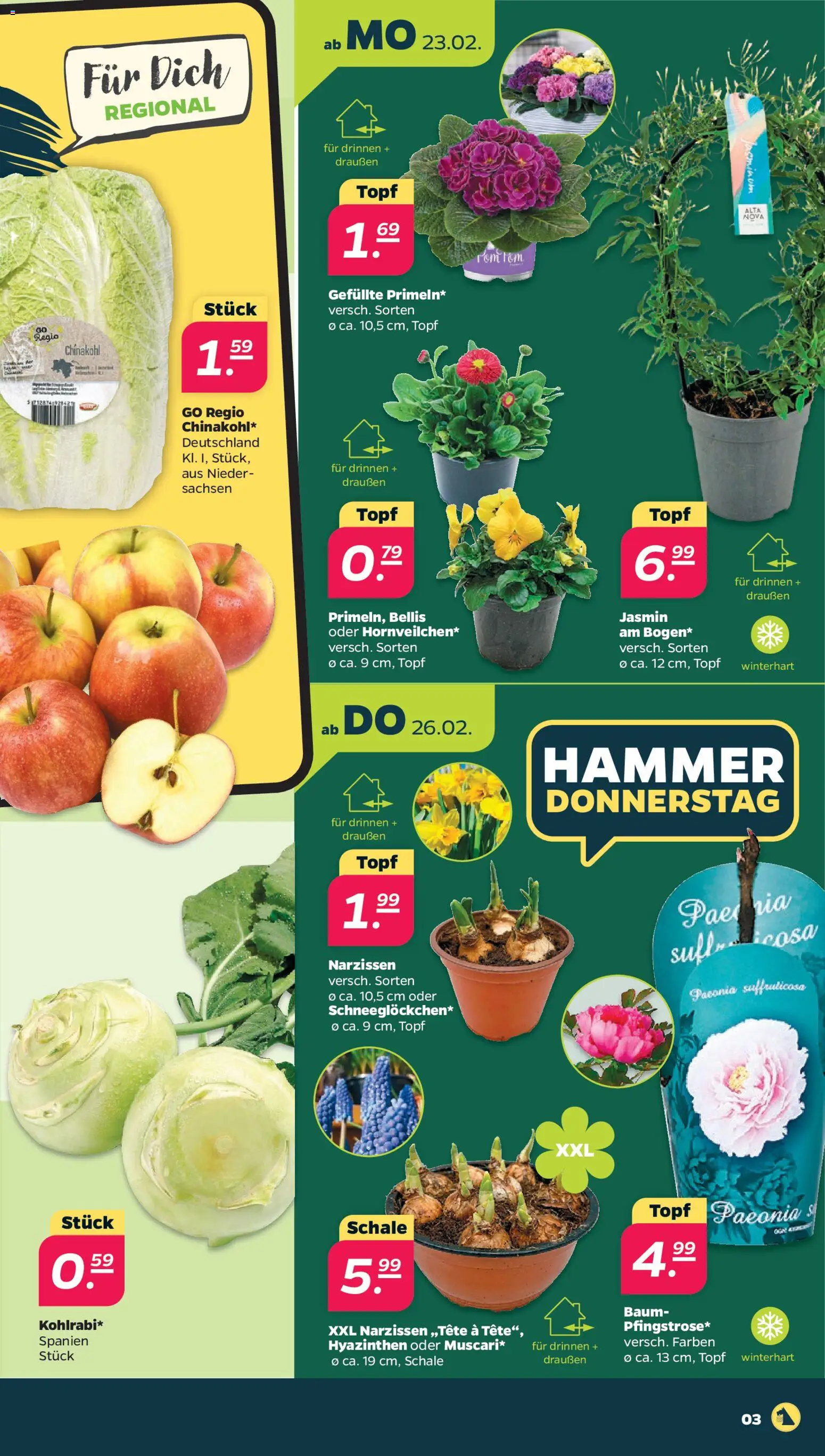 Netto Prospekt 	 – gültig ab 23.02.2026 | Seite: 3 | Produkte: Chinakohl