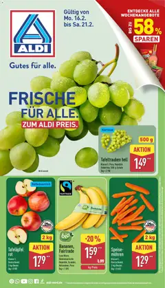 Aldi Prospekt 	 ab 16.02.2026 gültig