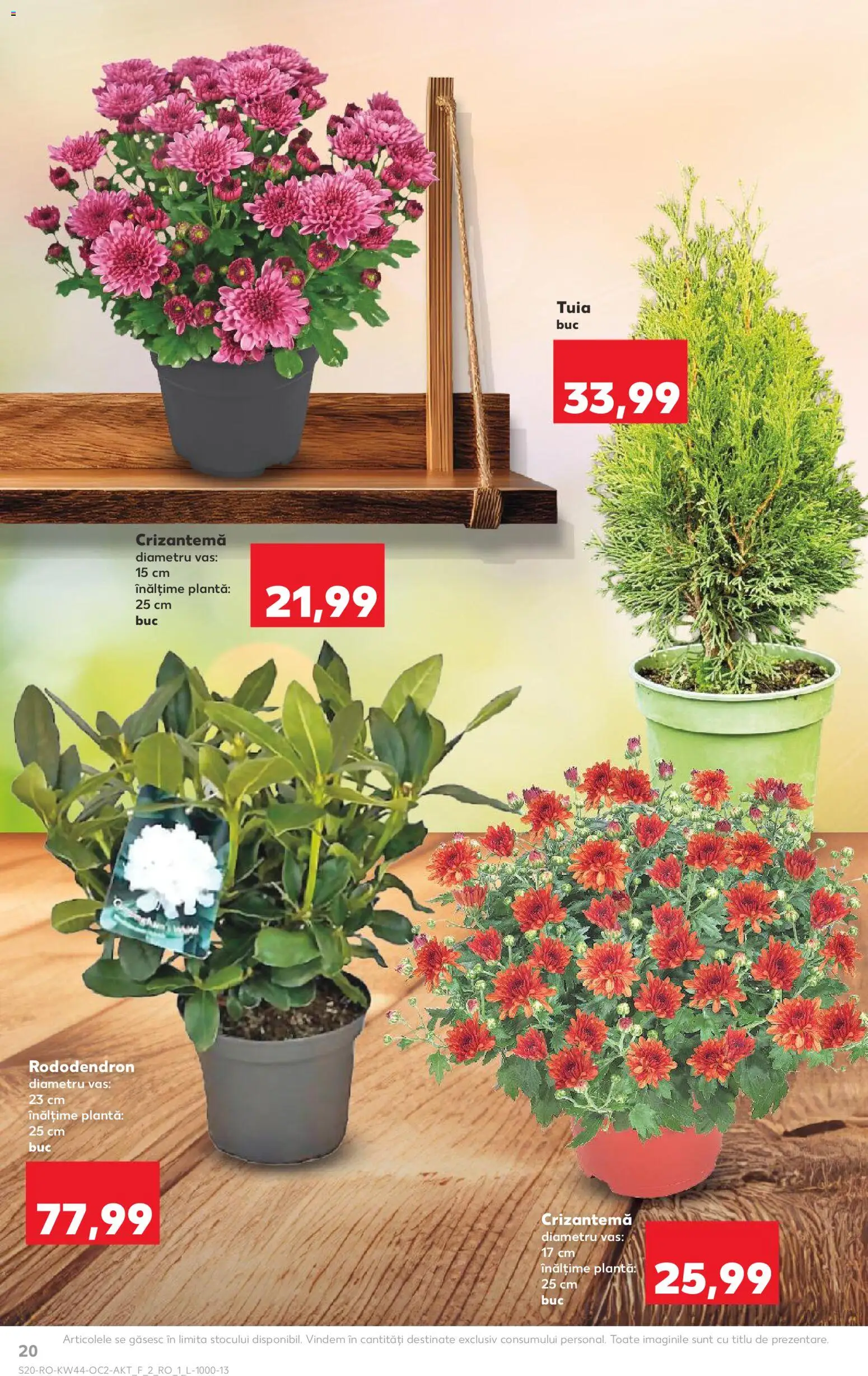 Kaufland RO akciós ujság - amely érvényes a következő dátumtól: 29.10.2025 | Oldal: 20 | Termékek: Rododendron