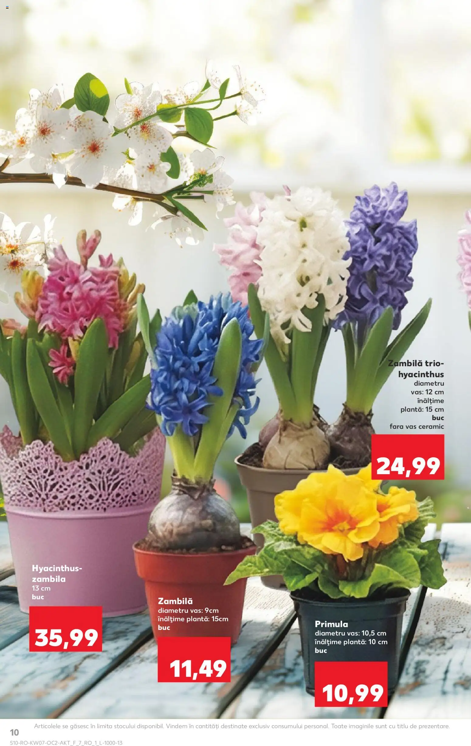 Noul catalog Kaufland – valabil de la 11.02.2026 | Pagină: 10