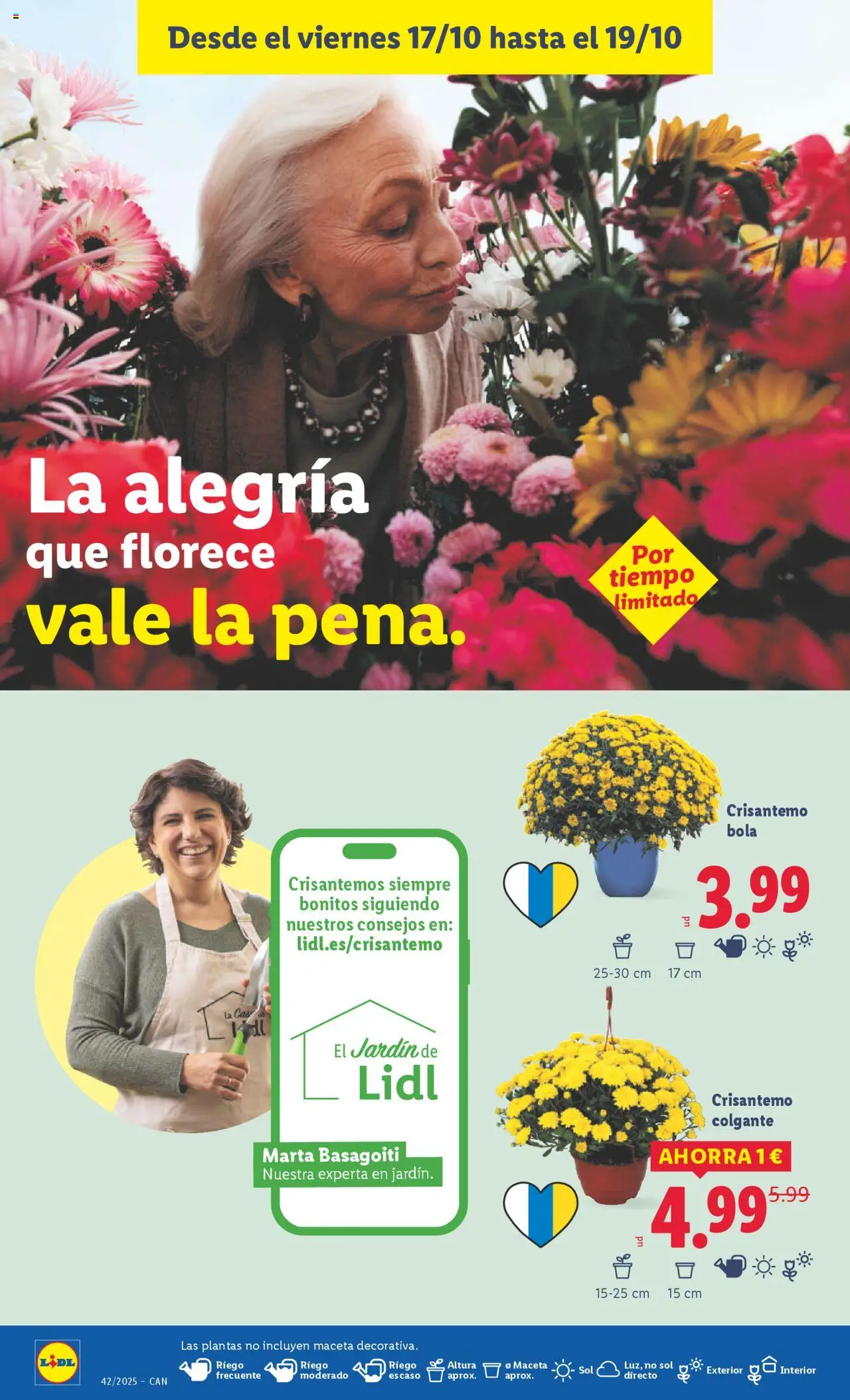 Lidl - Canarias │ válido desde el 13.10.2025 | Página: 40 | Productos: Maceta