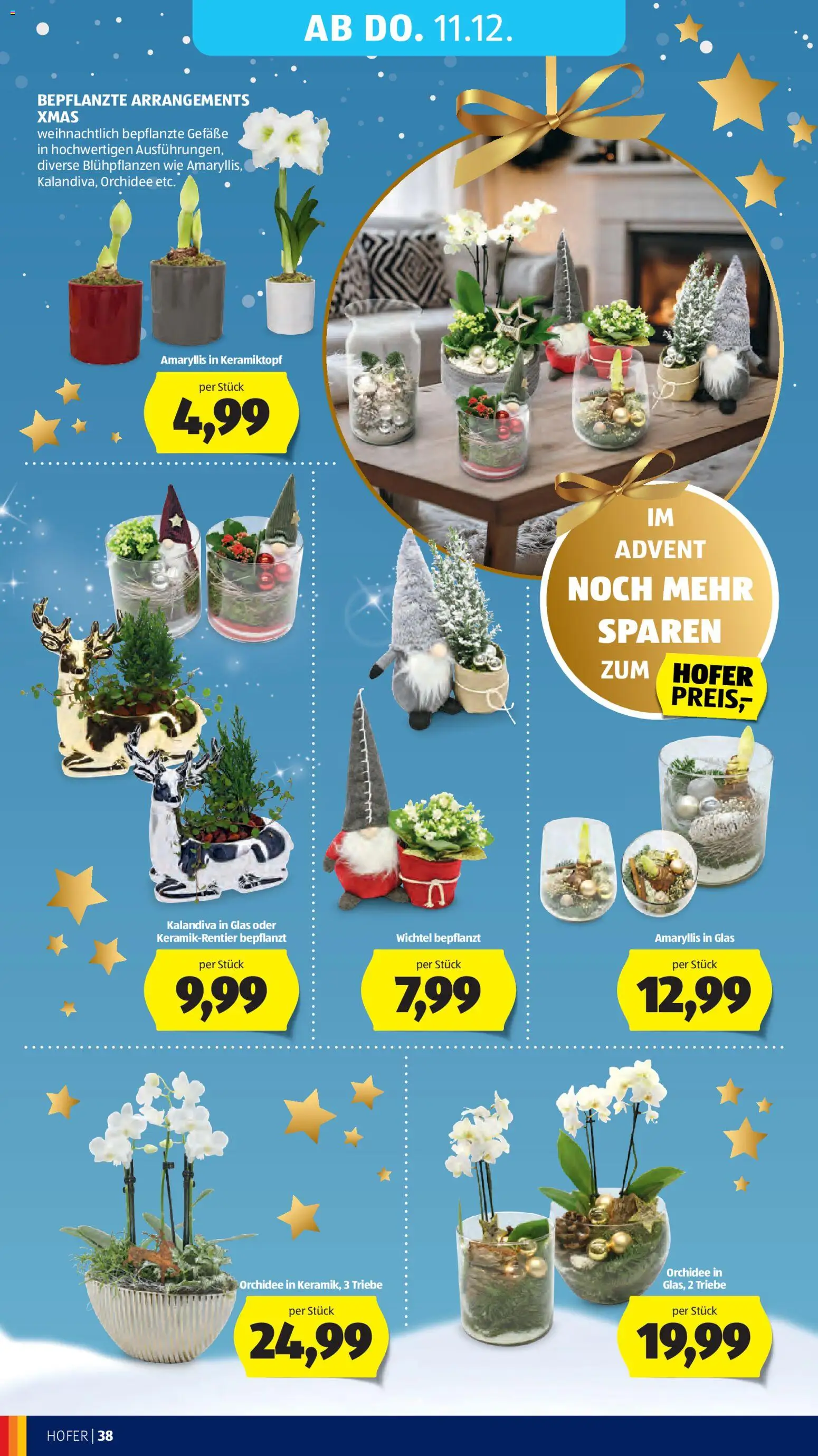 Hofer Flugblatt gültig ab 05.12.2025 | Seite: 52