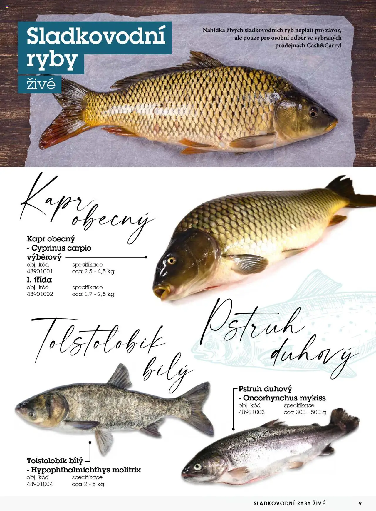 Jip katalog ryby 2024/25 od 30.12.2024 | Strana: 9 | Produkty: Ryby, Pstruh, Kapr