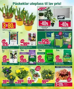 Forhåndsvisning av Europris kundeavis gyldig fra 23.03.2026 | Side: 12