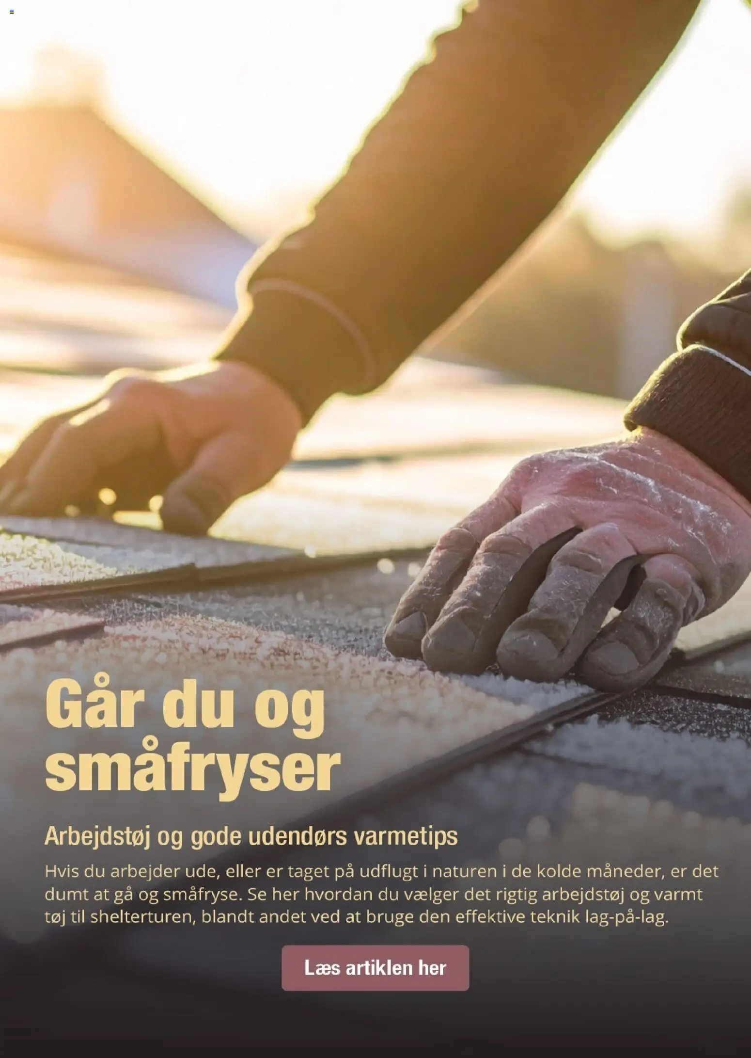 Harald Nyborg tilbudsavis – gyldig fra 05.02.2026 | Side: 60