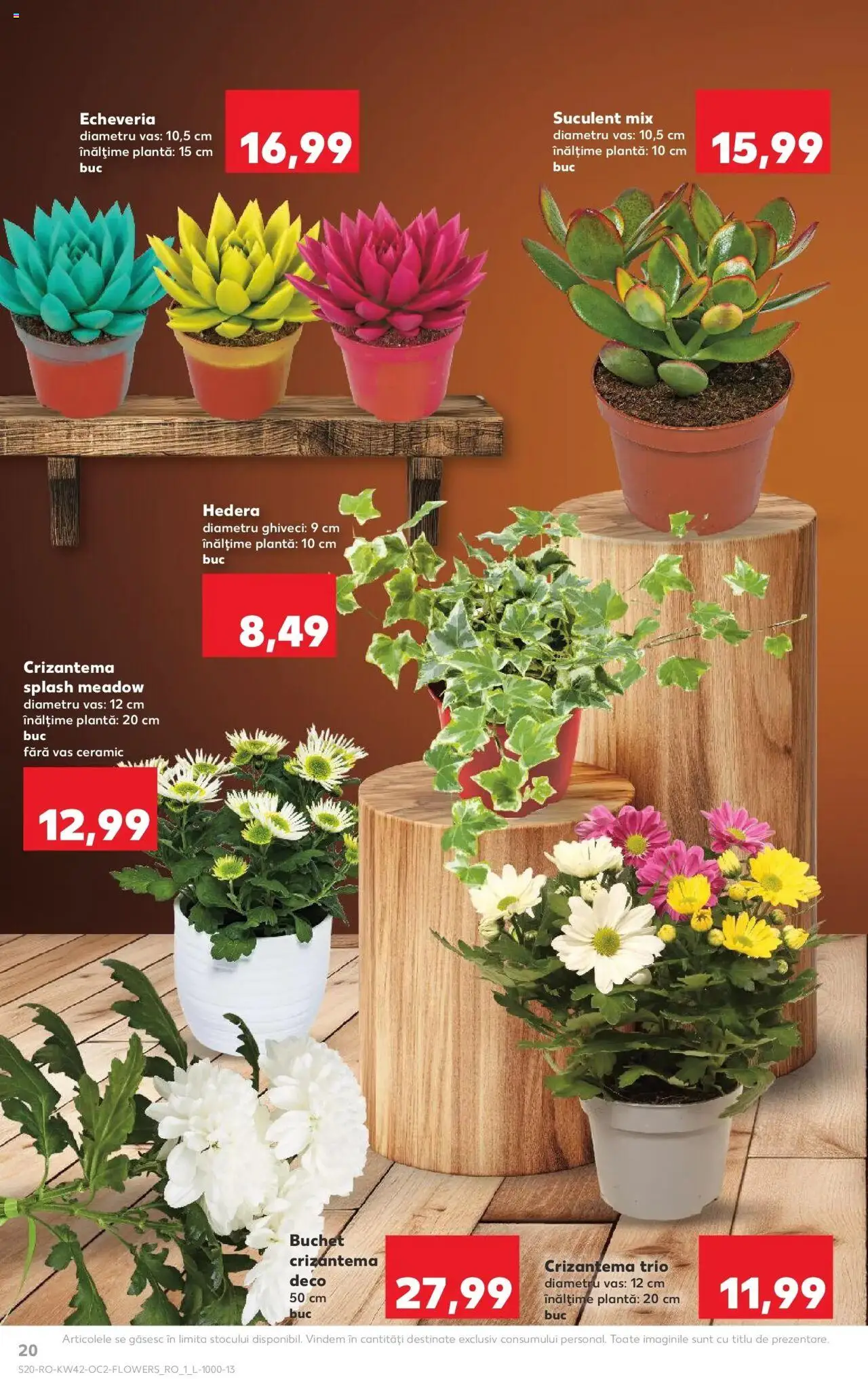 Noul catalog Kaufland – valabil de la 15.10.2025 | Pagină: 20 | Produse: Ghiveci