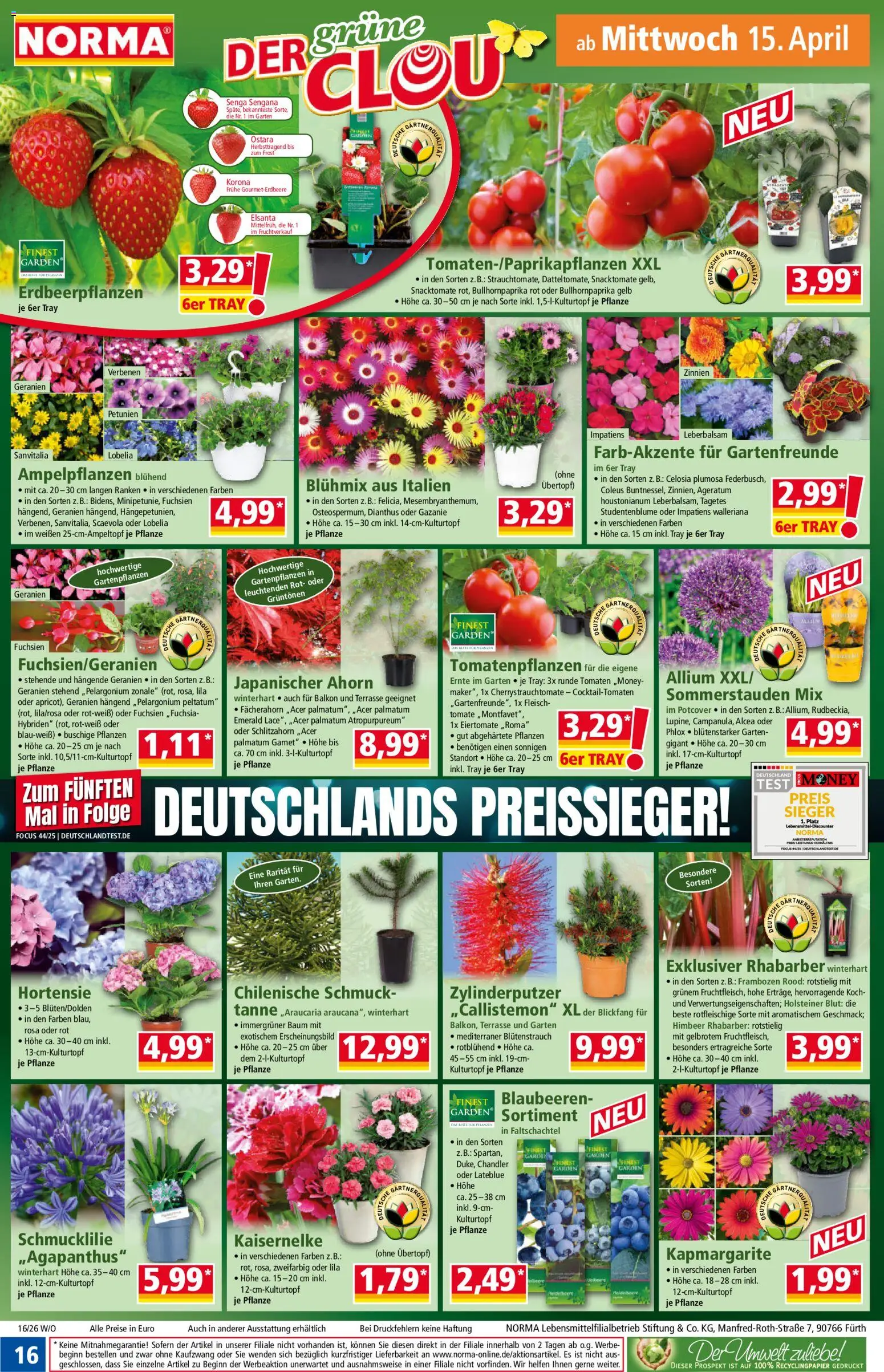 Norma Prospekt 	 – gültig ab 13.04.2026 | Seite: 16 | Produkte: Hortensie, Geranien, Rhabarber, Fleisch