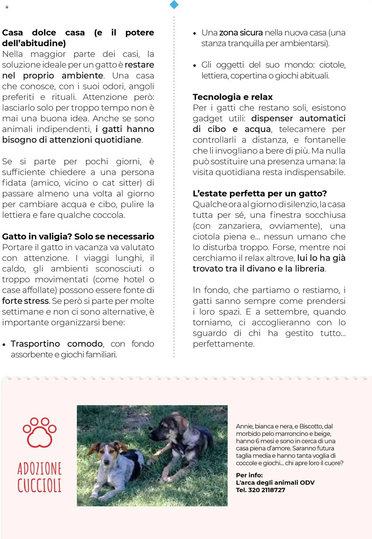 Volantino Gulliver del 01.08.2025 | Pagina: 89 | Prodotti: Acqua, Valigia, Divano, Ciotola