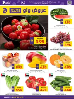 Preview of Abu Dhabi Coop offers valid from 29.01.2026 | Page: 2