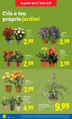 Pré-visualização Mix de Flores em Vaso de Cerâmica, Planta de interior. Vaso: 5,5 cm válido de 02.03.2026 | Página: 28 | Produtos: Flores, Vaso