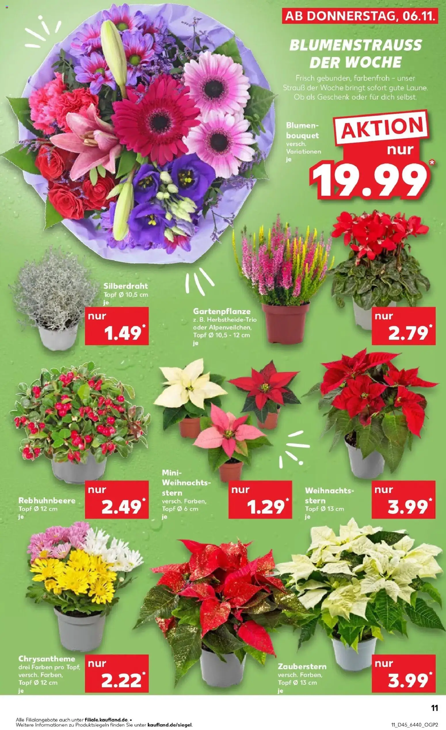 Kaufland prospekt Igersheim	 – gültig ab 10.11.2025 | Seite: 11 | Produkte: Blumen