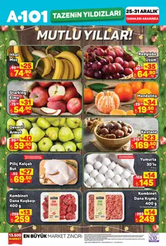 25.12.2025 tarihinden itibaren geçerli olan A101 kataloğu önizlemesi