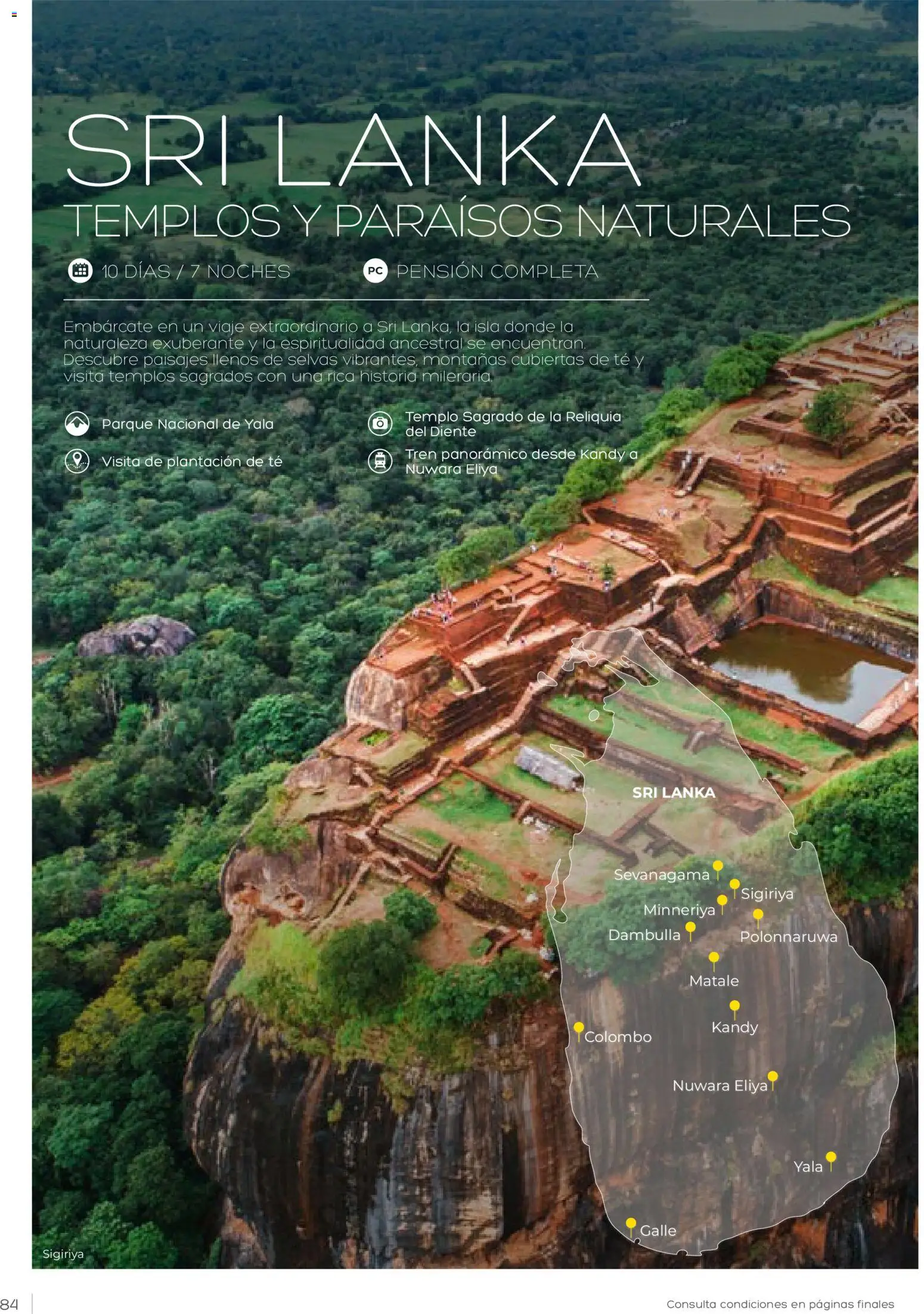 Viajes El Corte Inglés Vacaciones Económicas │ válido desde el 22.10.2025 | Página: 84 | Productos: Té