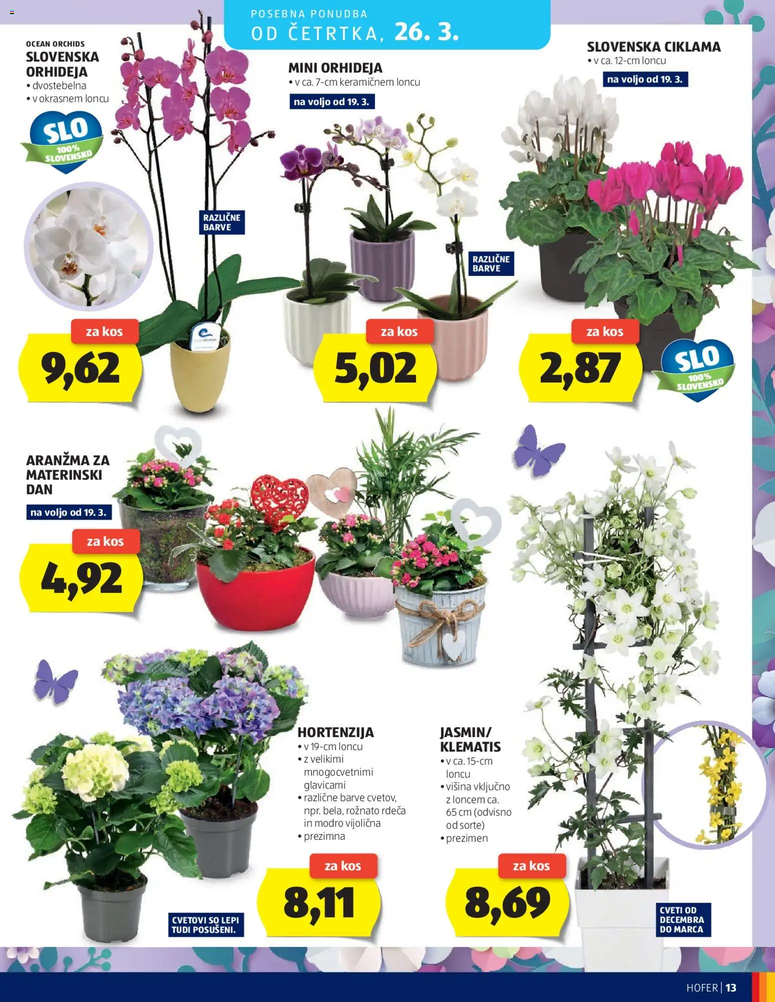 Novi Hofer katalog katalog ponudbe – veljaven od 19.03.2026 | Stran: 13 | Izdelki: Kos