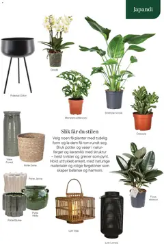 Forhåndsvisning av Plantasjen kundeavis gyldig fra 08.01.2026 | Side: 19 | Produkter: Persienn, Lykt, Vase, Pidestall