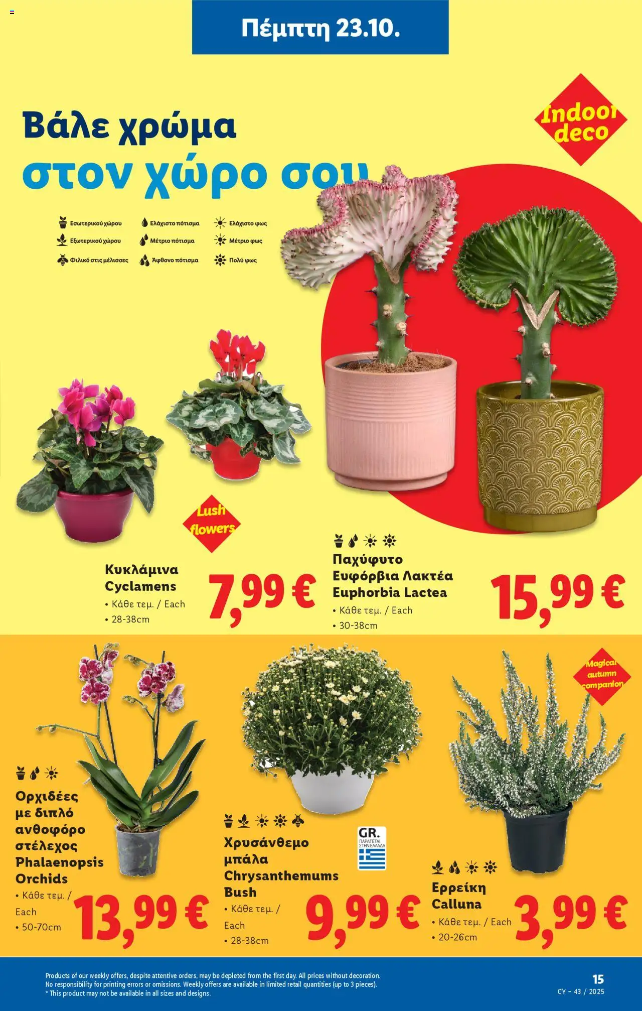 Lidl - Φυλλάδιο – σε ισχύ από 23.10.2025 | Σελίδα: 47