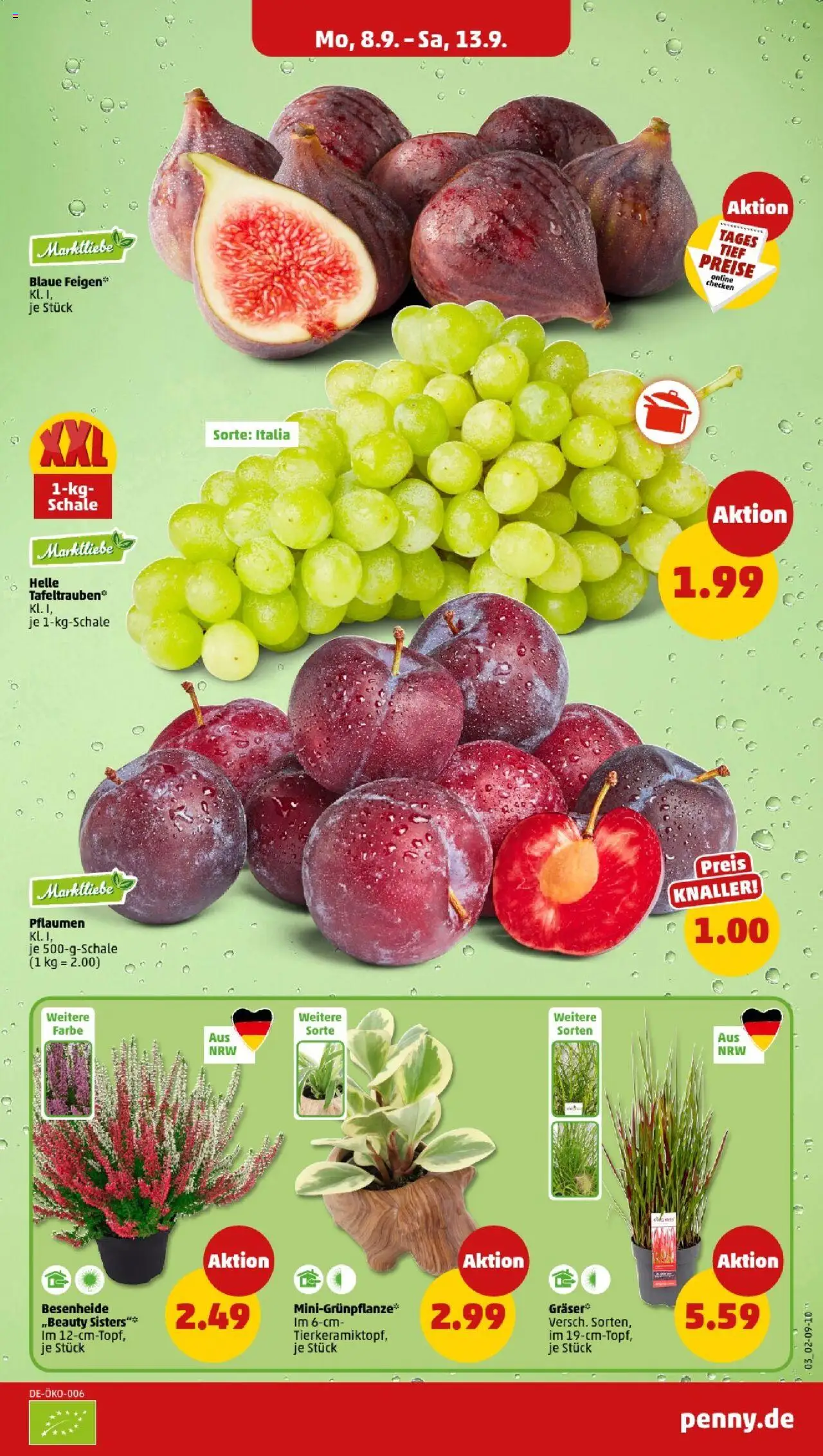 Penny Nordrhein - Westfalen – gültig ab 08.09.2025 | Seite: 3 | Produkte: Pflaumen