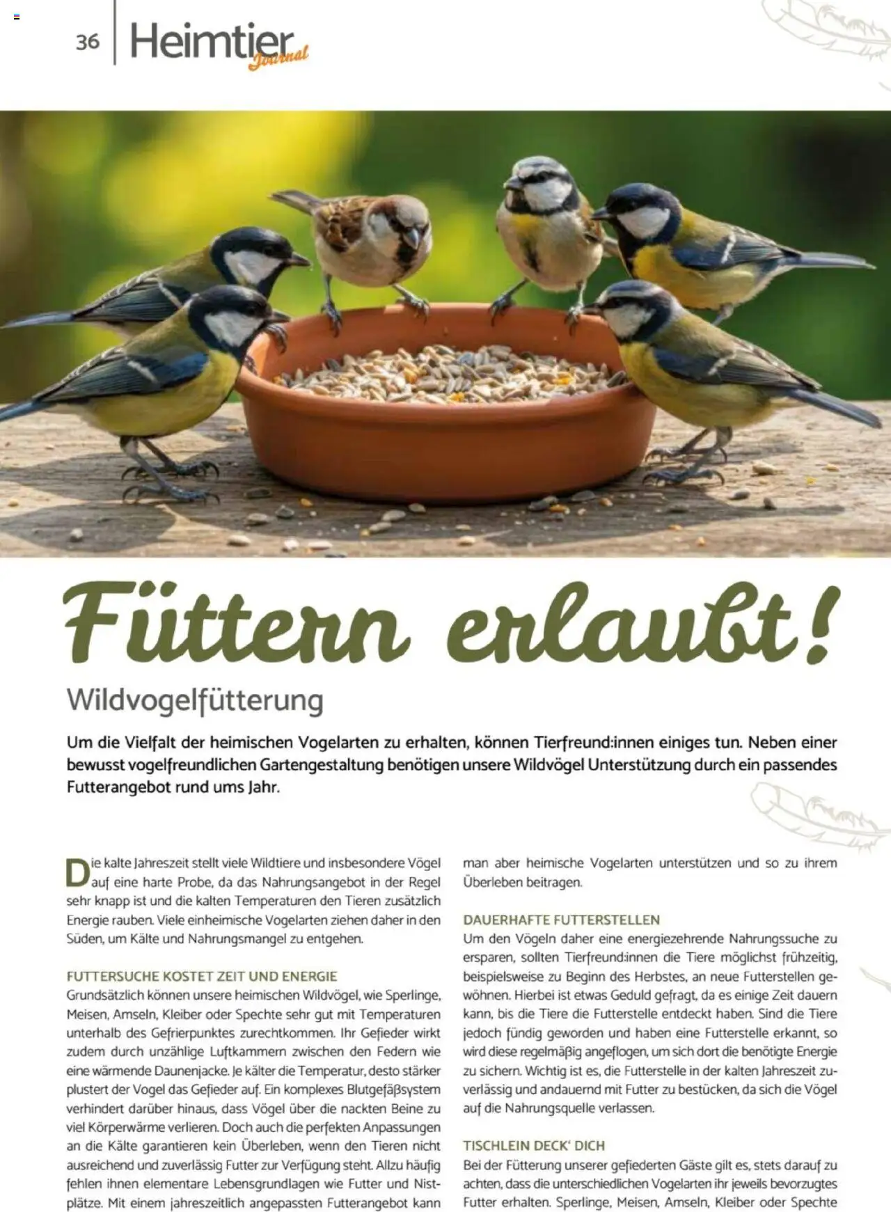 zookauf Heimtier Journal – gültig ab 01.10.2025 | Seite: 36
