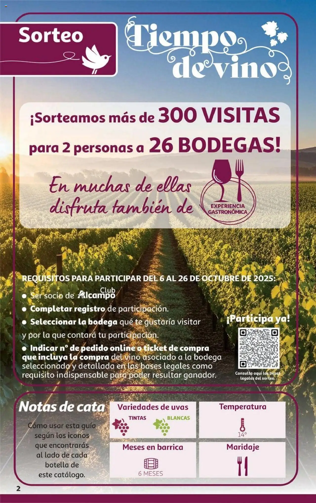 Alcampo - SST Cataluňa │ válido desde el 06.10.2025 | Página: 2 | Productos: Τζίντζερ, Vino, Té