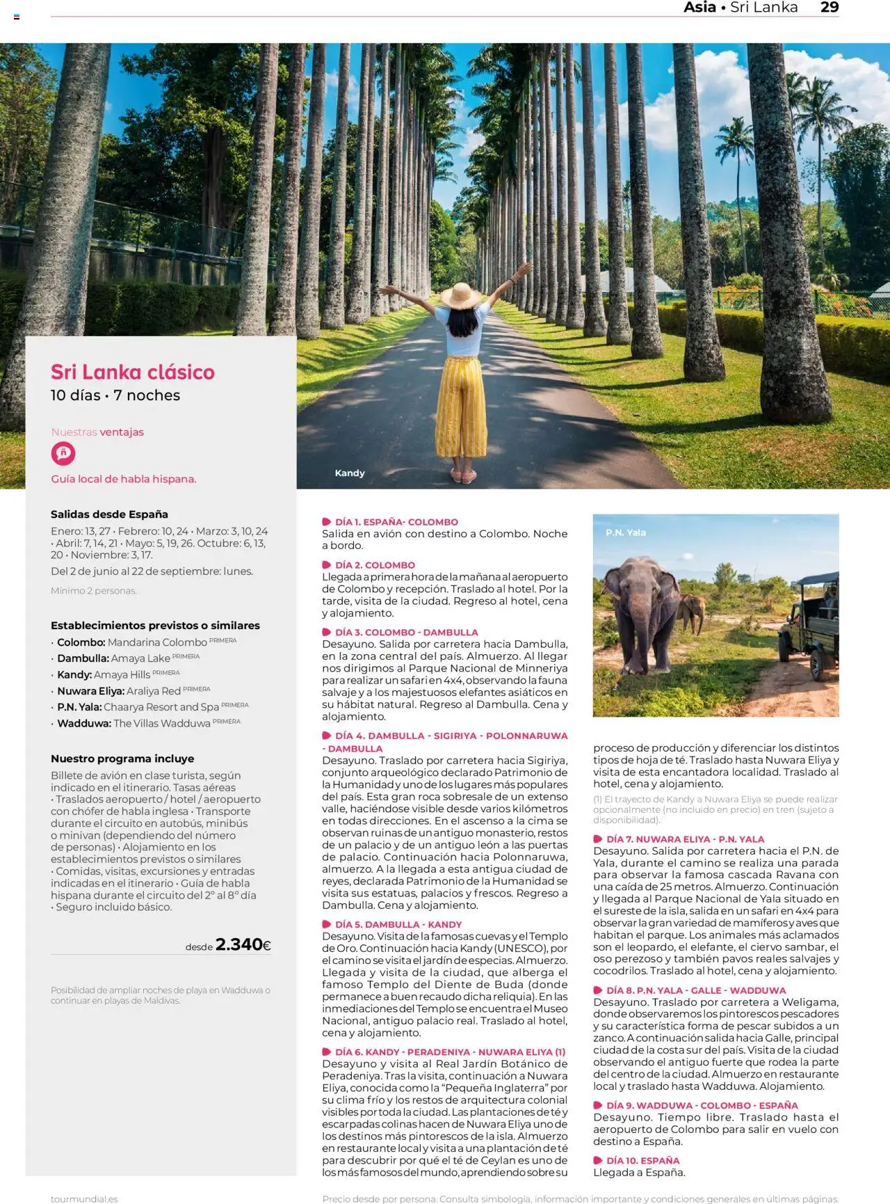 Viajes El Corte Inglés Asia y Oceanía │ válido desde el 01.01.2025 | Página: 29 | Productos: Té