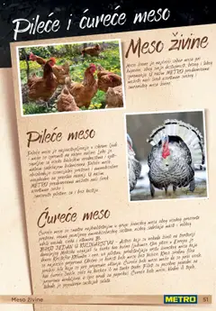 Metro katalog meso - pregled Metro kataloga - važi od 11.11.2024 | Strana: 51 | Proizvode: Pileće meso, Ćureće meso